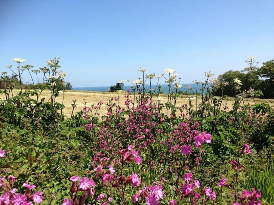 Little Bream - Pretty Cosy Cottage, Sea Views, Walk To The Beach Mawnan Smith Exteriör bild