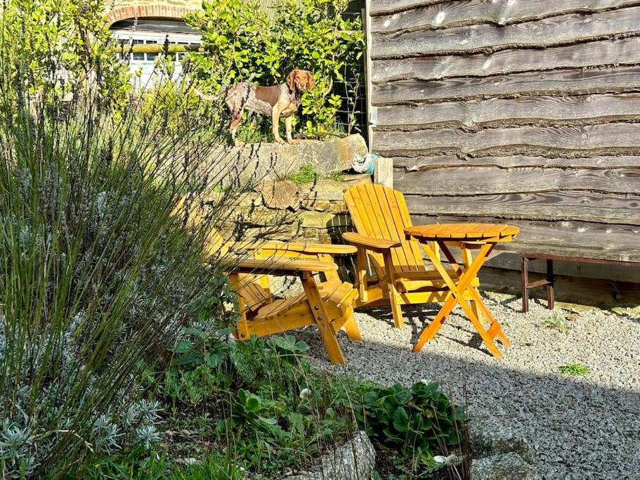 Little Bream - Pretty Cosy Cottage, Sea Views, Walk To The Beach Mawnan Smith Exteriör bild